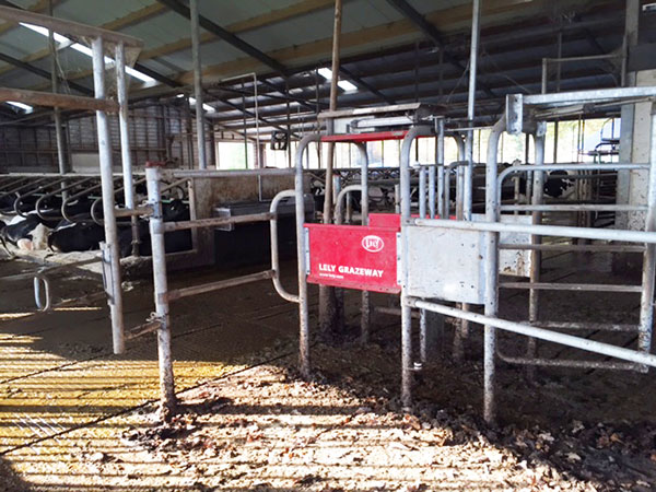 Robotics movementtoandfromapasture